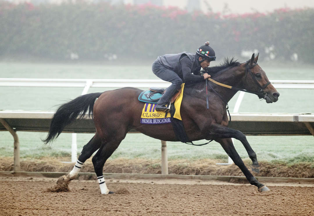 Breeders' Cup Clocker Report Senor Buscador puts in major Classic work
